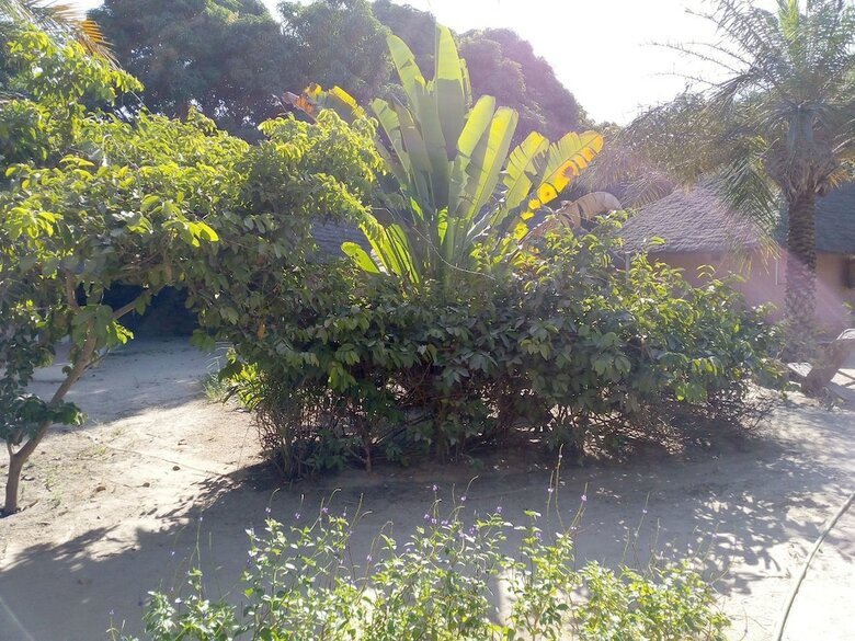 Hotel Campement Asseb