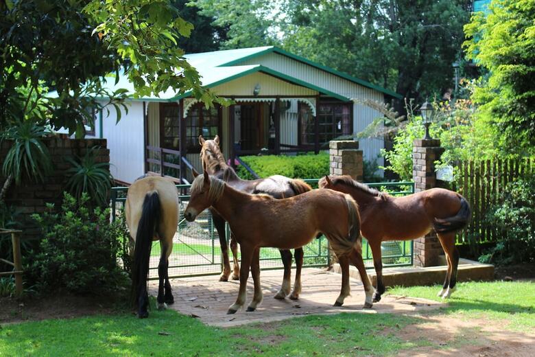 Hotel Cabin&cottage Kaapsehoop