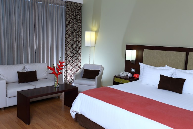 Hotel Ciudad De David