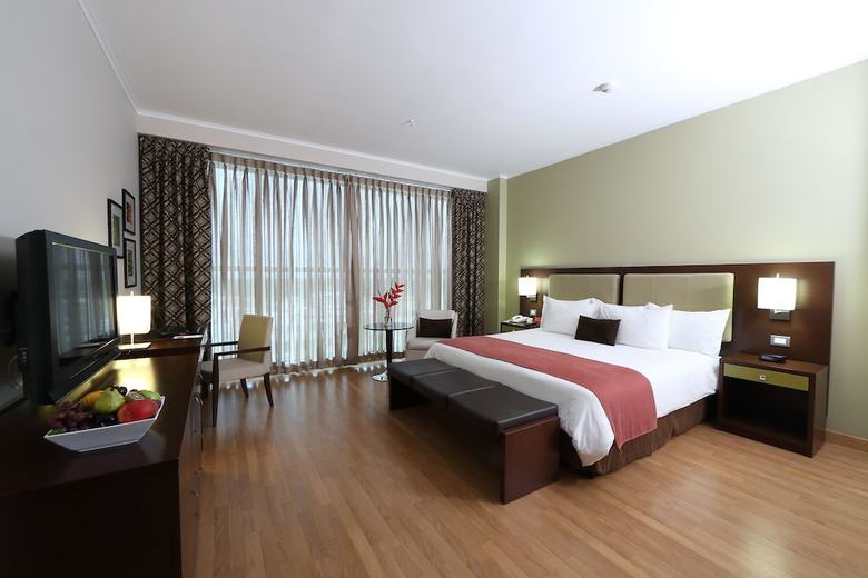 Hotel Ciudad De David