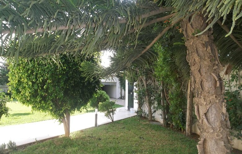 Hotel Dar Yamama