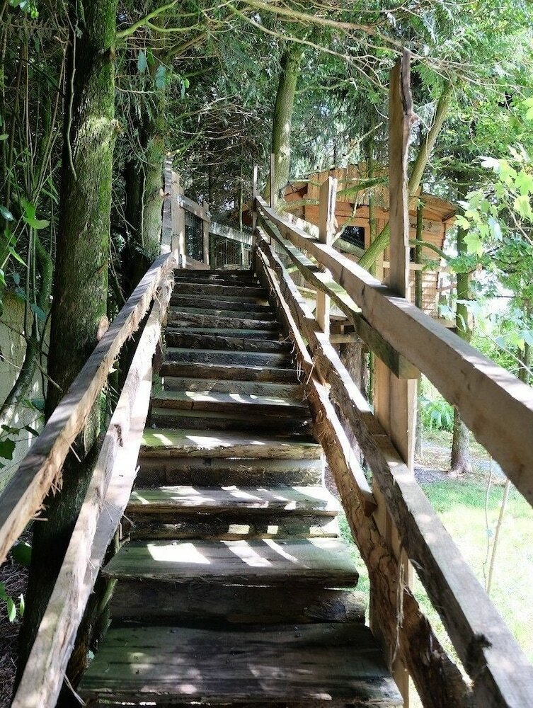Cabane Dans Les Arbres - Tree House