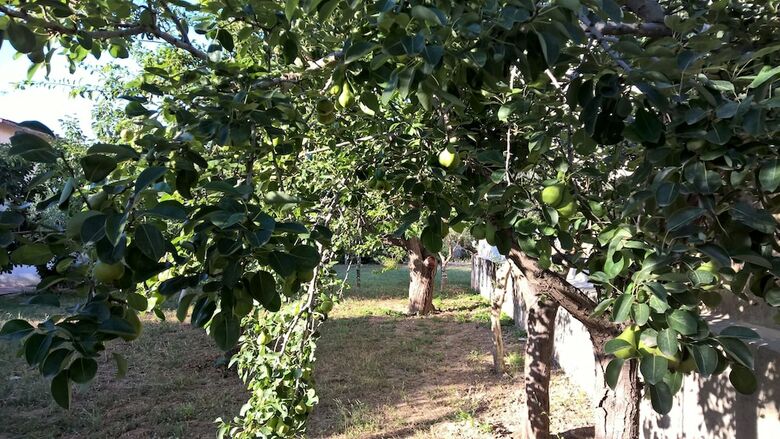 Casa Vacanze Summertime