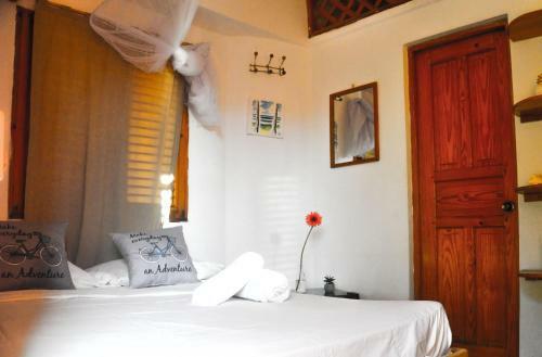 Casa Delfin B&B