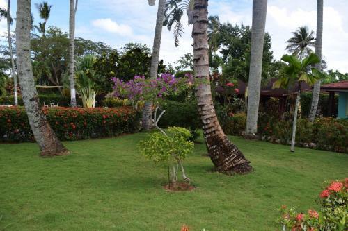 Hotel Palococo