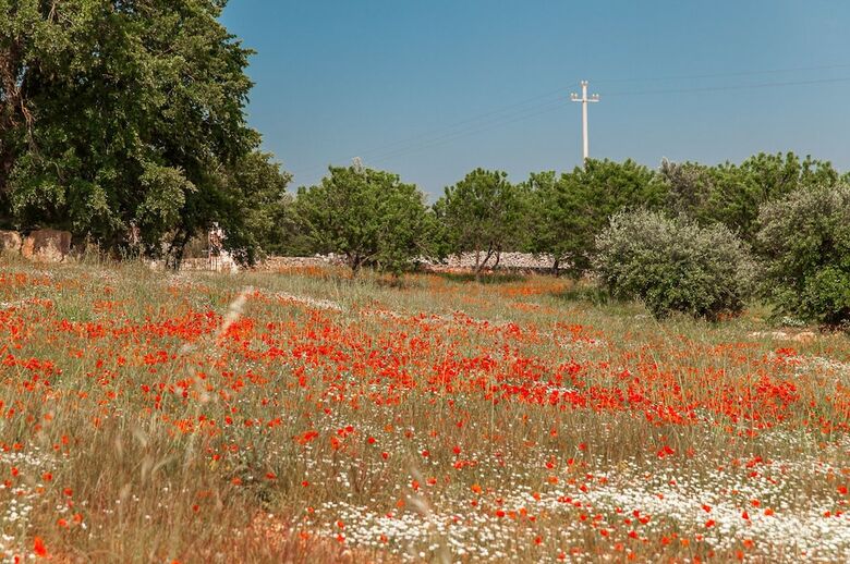 Apartamento Trulli Anna