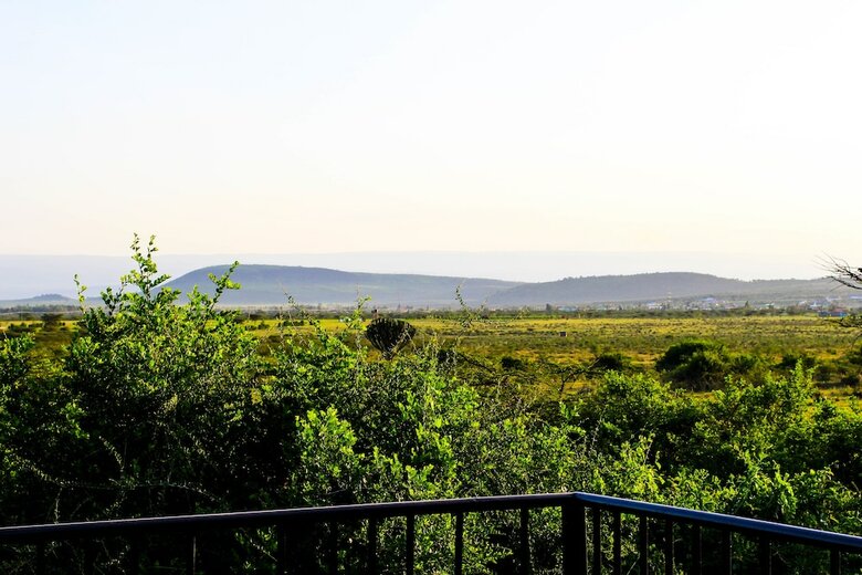 Punda Milias Camp Nakuru