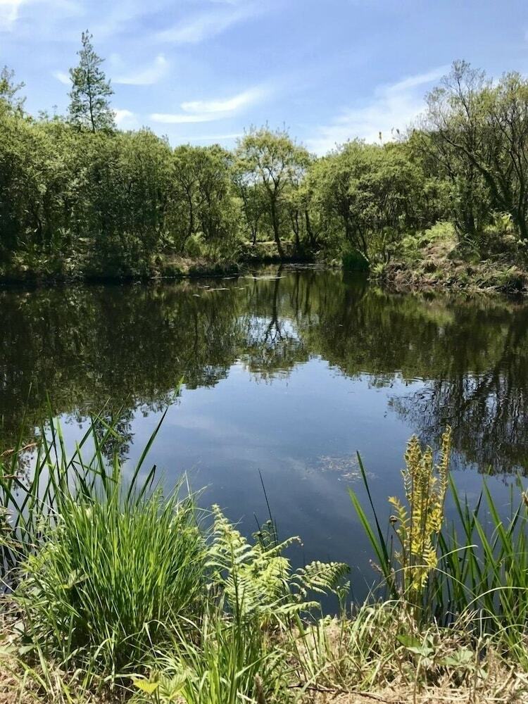 Trecombe Lakes