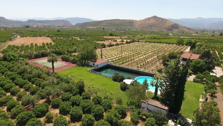Orange Grove Villa