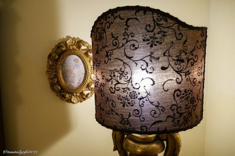 Bed & Breakfast Tenuta Il Grifo