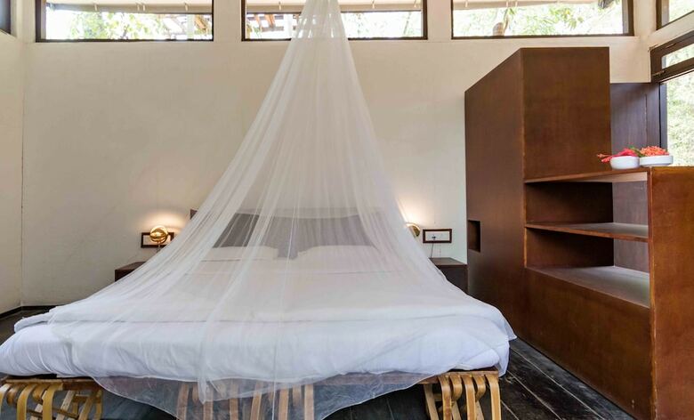 Bed & Breakfast Uravu Bamboo Grove