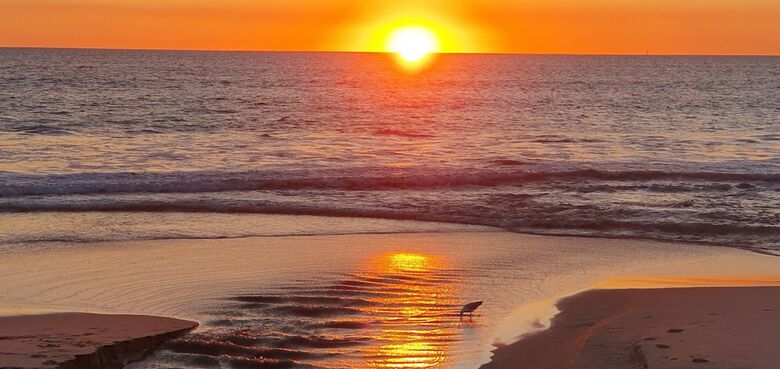Apartamentos Sandcastles At The Beach - Outstanding Location