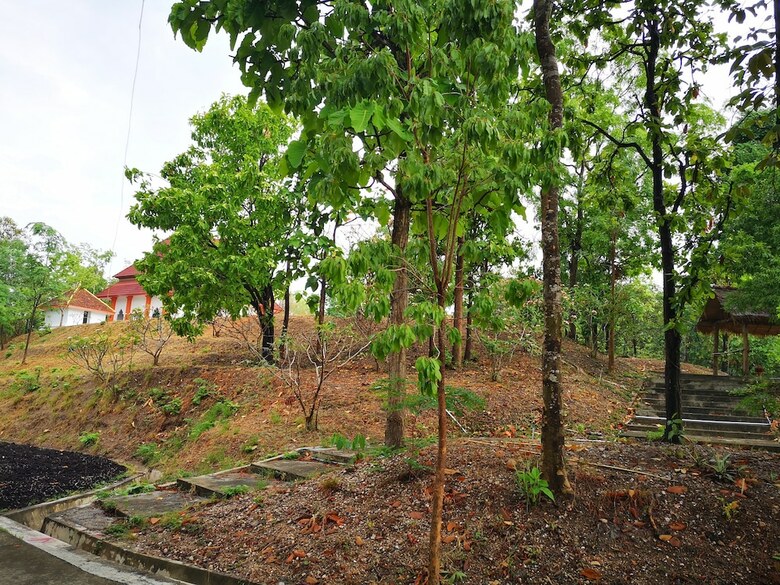 Hotel Amaravati Wellness Center And Resort