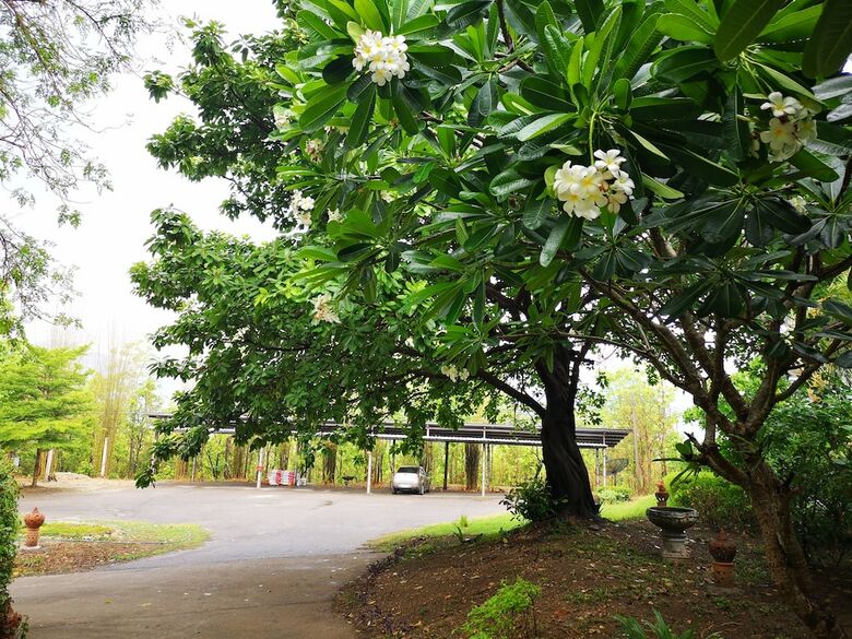 Hotel Amaravati Wellness Center And Resort