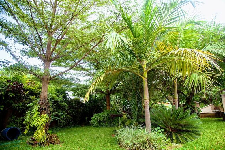 Lush Gardens Apartment 2