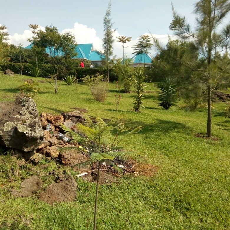 Bed & Breakfast East Africa Amazon Guest House