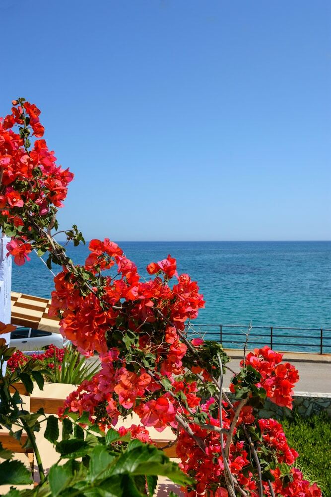 Apartamentos Seaside Studios