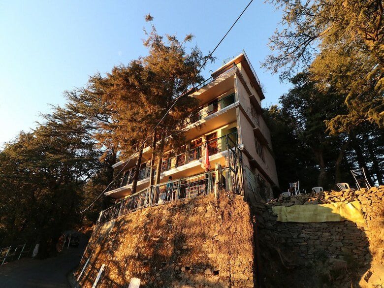 Hotel Oyo 27699 Cedar Tree