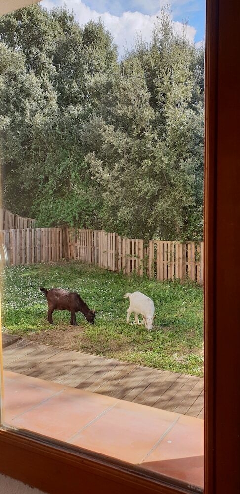 Gites San Austinu