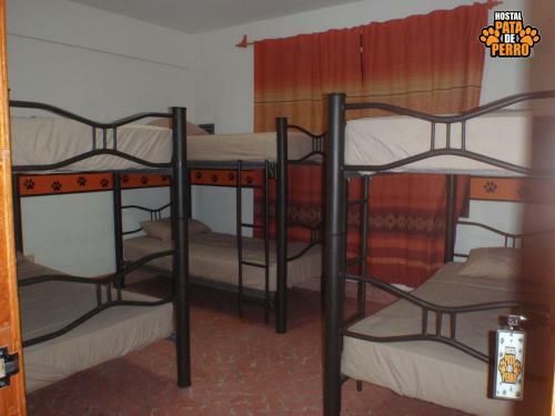 Albergue Hostal Pata De Perro