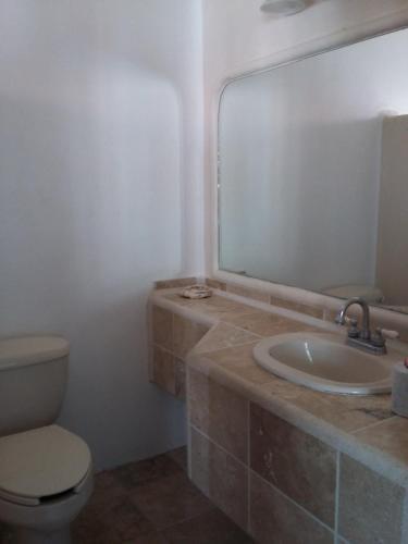 Hotel Plaza Delphinus