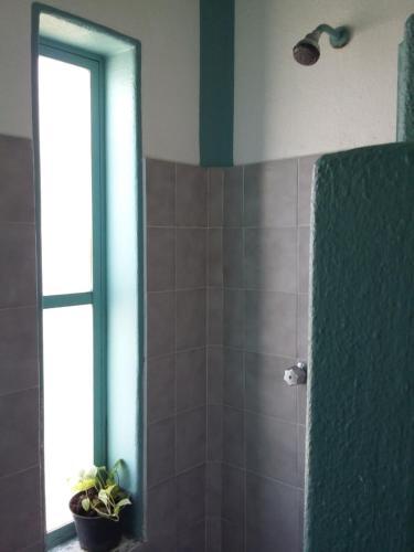 Hotel Plaza Delphinus