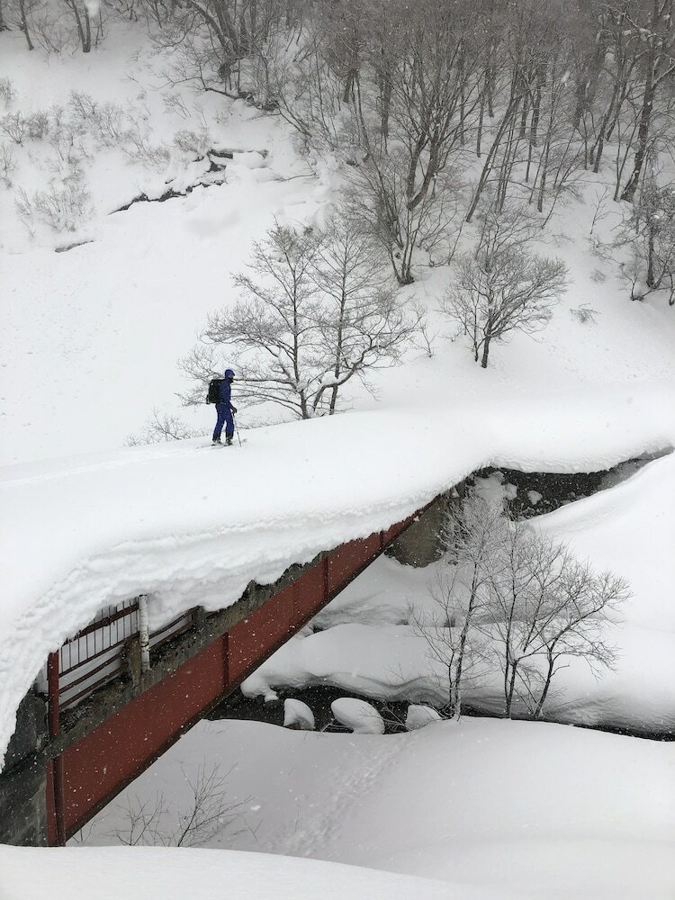 Pension Chillps