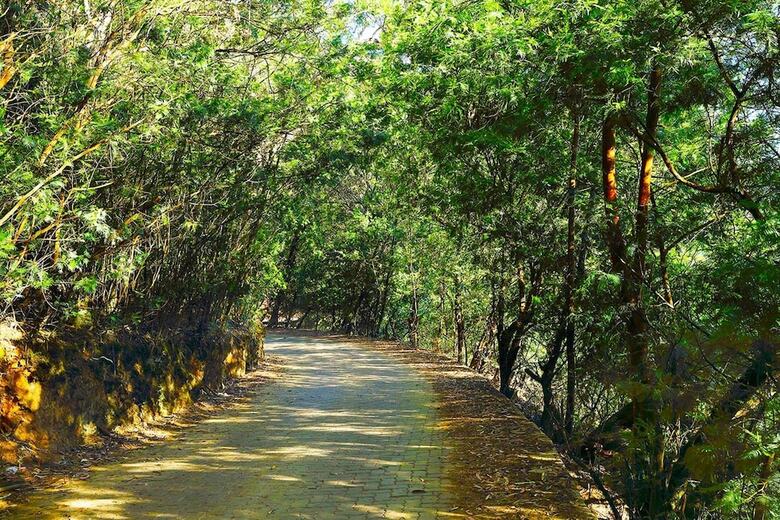 Apartamento Logan Camp Ooty