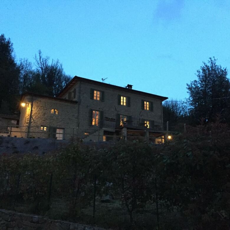 Alle Vignole
