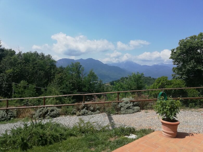 Alle Vignole