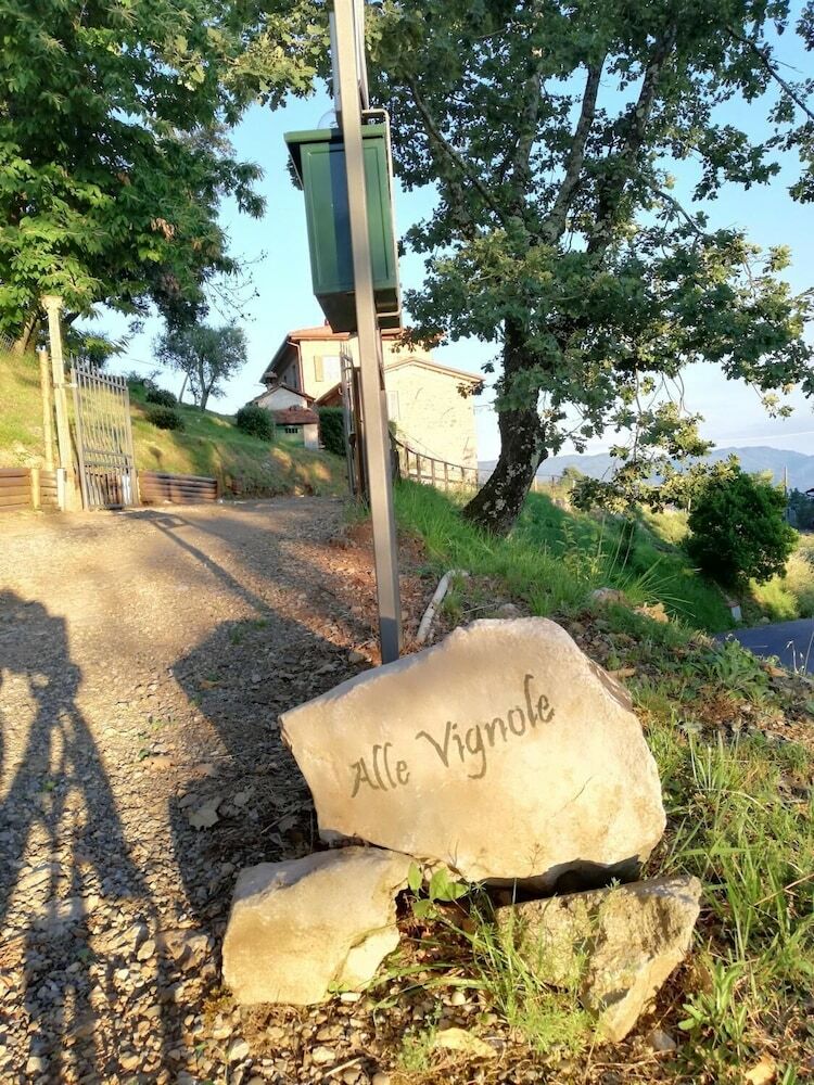 Alle Vignole