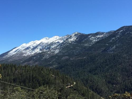Hotel Bosques De Monterreal
