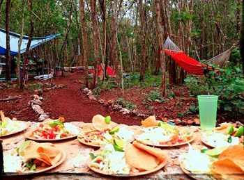 Lemurian Embassy Eco Retreat Chichen Itza