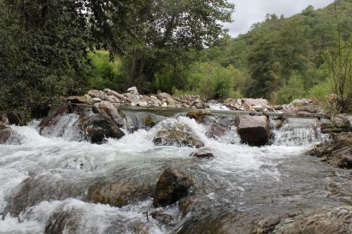 Lodge Centro Ecotur�stico Caba�as Amatl�n