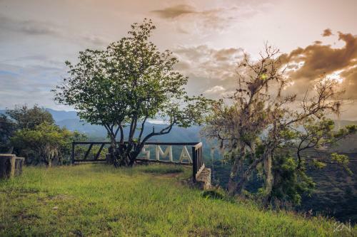 Lodge Centro Ecotur�stico Caba�as Amatl�n
