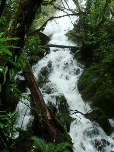 Lodge Centro Ecotur�stico Caba�as Llano Grande