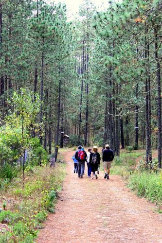 Lodge Centro Ecotur�stico Caba�as Llano Grande