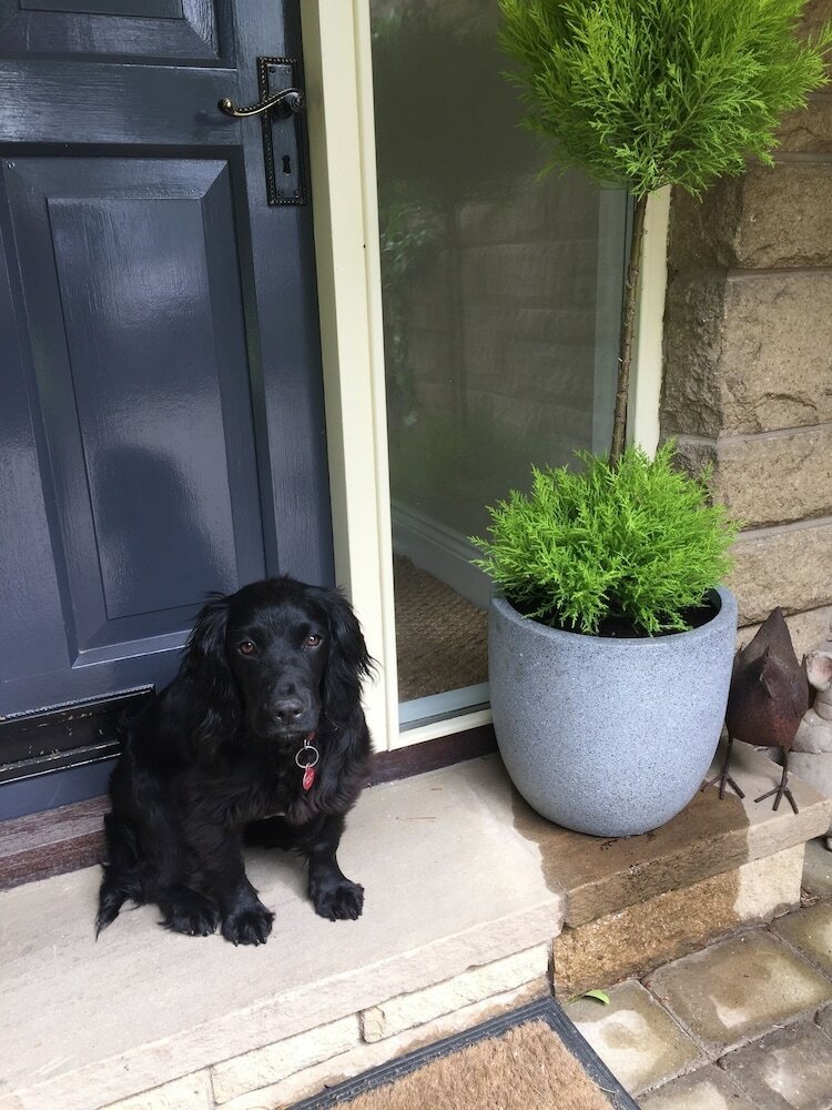 Westrigg B&B