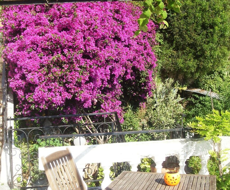 Le Panoramic Boutique Hotel