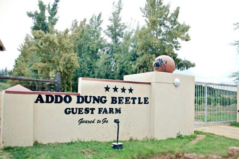 Agroturismo Addo Dung Beetle Guest Farm