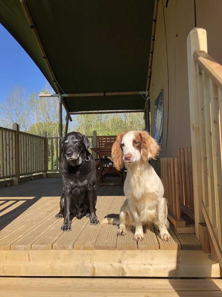 Posada Beara Lodge Glamping