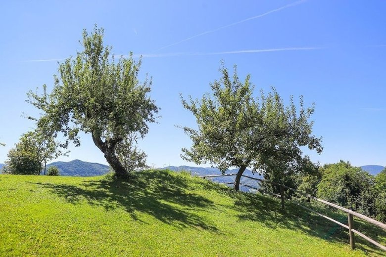 Agroturismo Na Skaluc Estate
