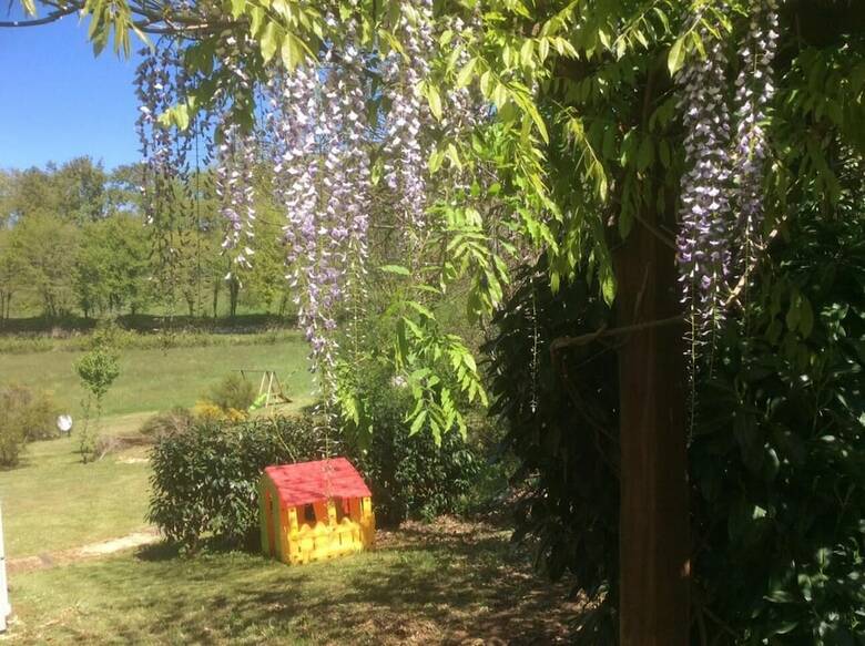 Bed & Breakfast Les Jonquilles
