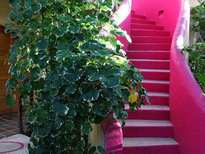 Hotel Baxar