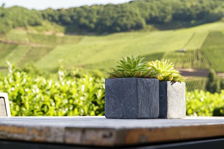 Bed & Breakfast Weingut & G�stehaus Christoph Cl�sserath