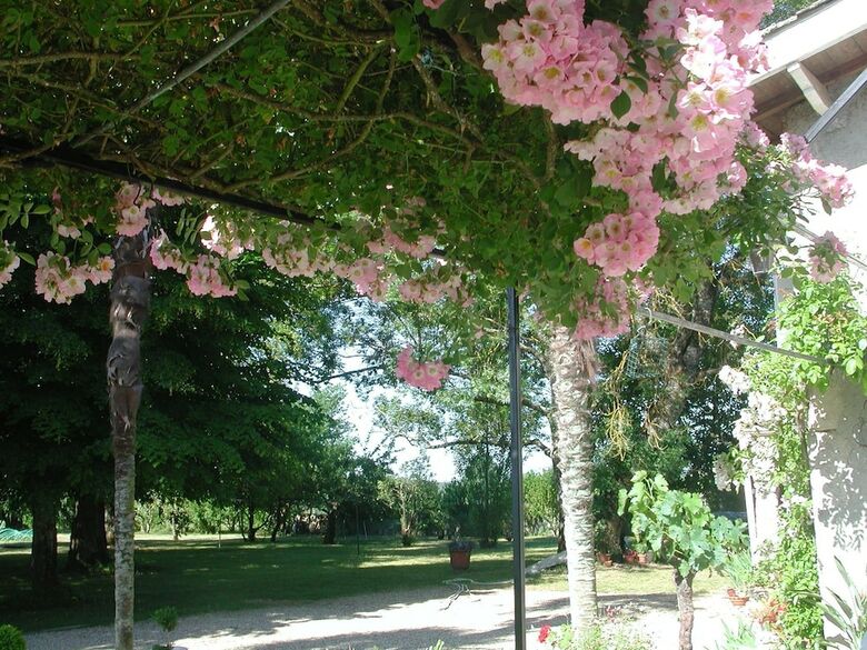 Bed & Breakfast Guest House Yuccas & Tilleuls