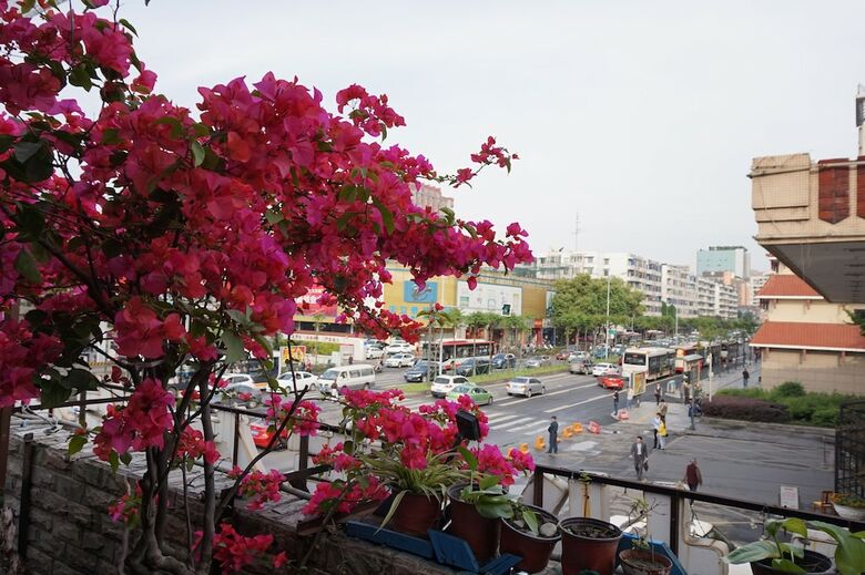 Hostal Chengdu Season Inn Youth Hostel