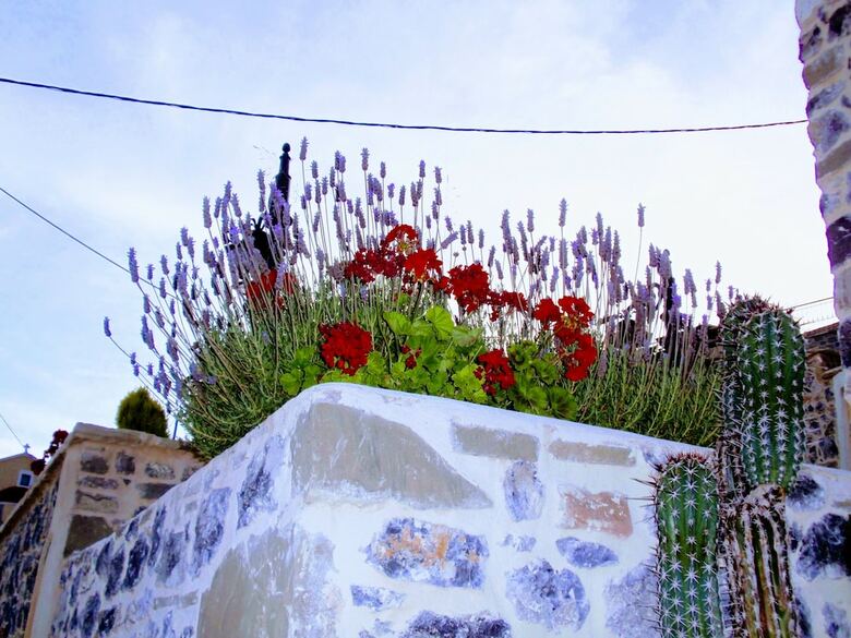 Villa Rosa