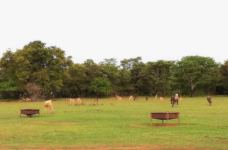 Posada African Explorer Private Game Lodge