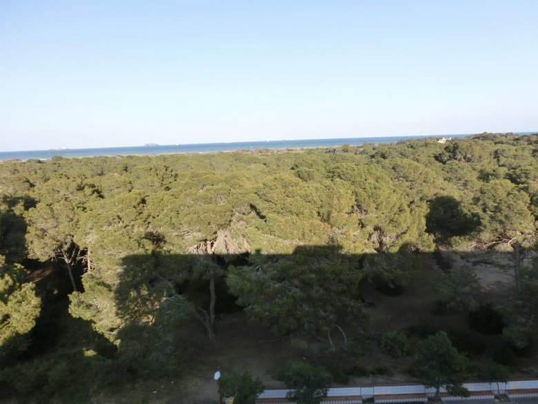 Hotel You & Co. Saler Beach Boutique